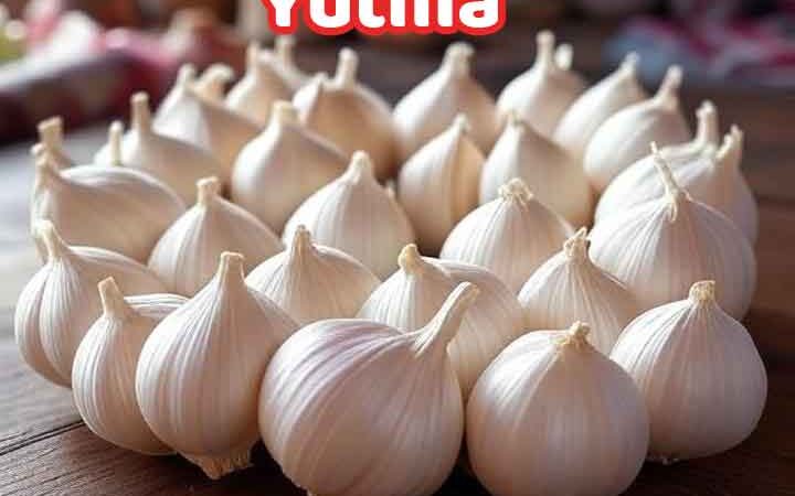 41 Gün Sarımsak Yutmak