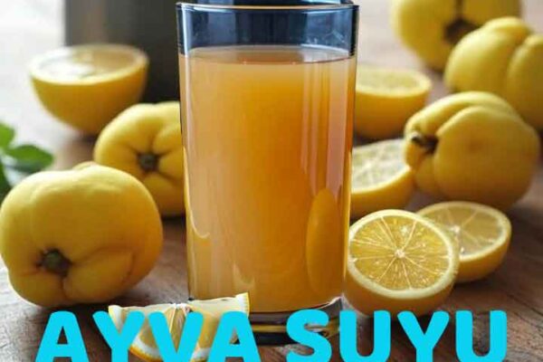 AYVA SUYU FAYDALARI VE TARİFİ