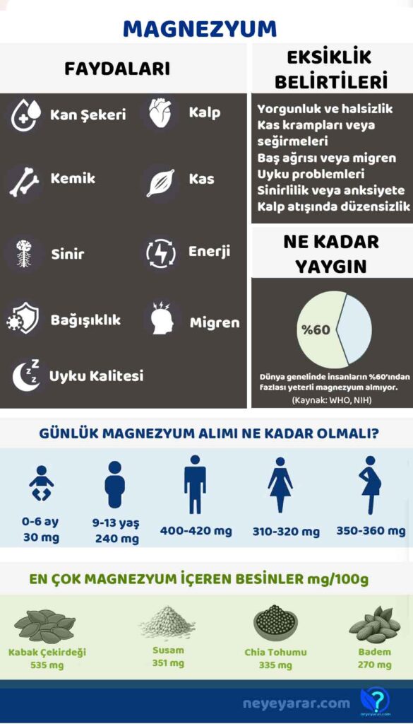Magnezyum hakkında her şey