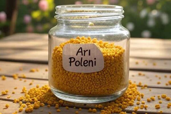 Arı Poleni Faydaları Cinsellik Etkileri