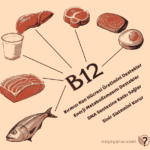 B12 Vitamini Ne İşe Yarar? Vücudumuz İçin Önemi Nedir?