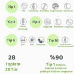 Kolajen Tipleri Nelerdir?