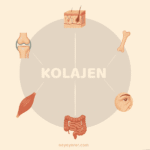 Kolajen Ne İşe Yarar? Faydaları, Kullanımı ve Bilinmesi Gerekenler