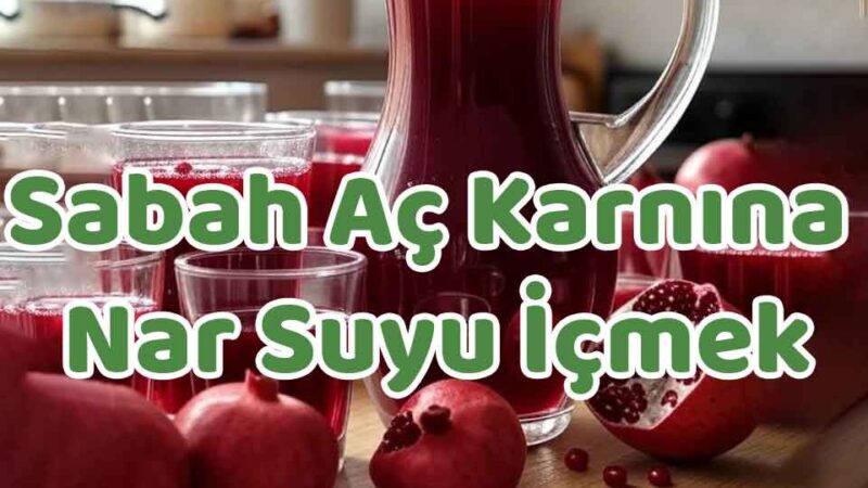 Sabah Aç Karnına Nar Suyu İçmek