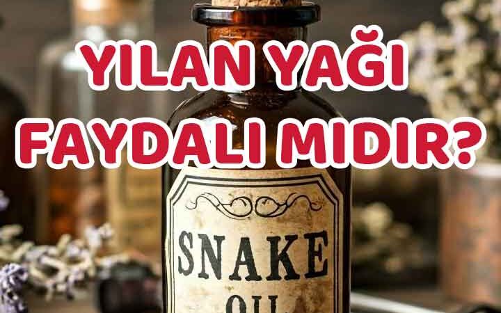 Yılan Yağı Faydaları Var mı?