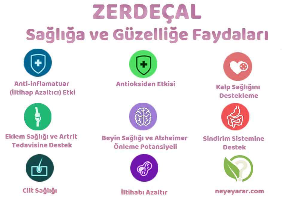 Zerdeçalın Faydaları Sağlık ve Güzellik