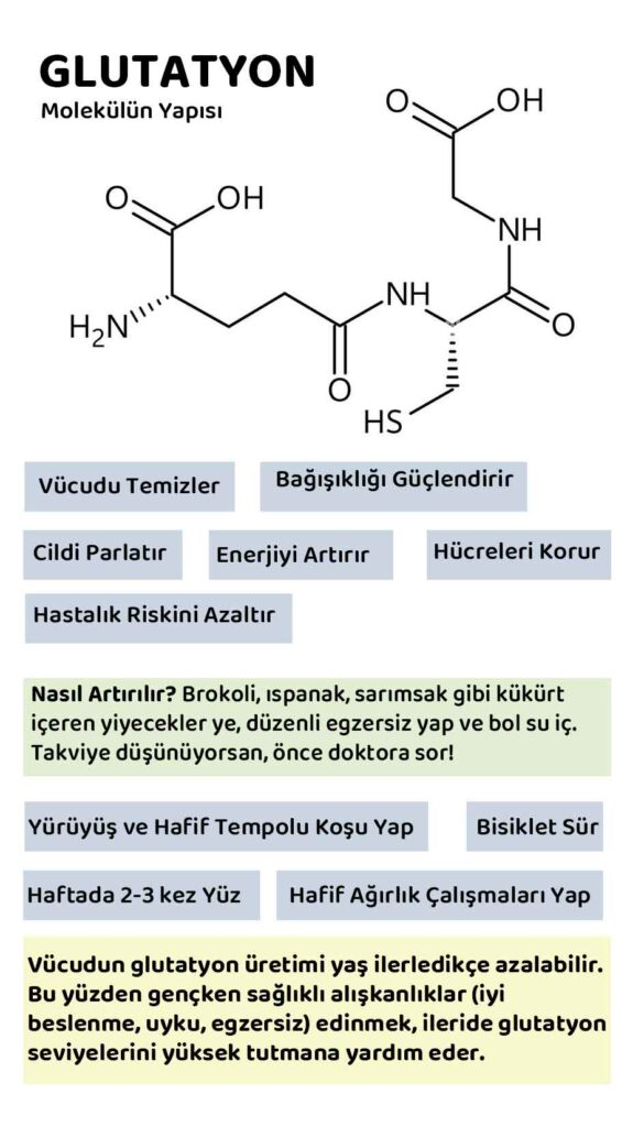 GLUTATYON infografik