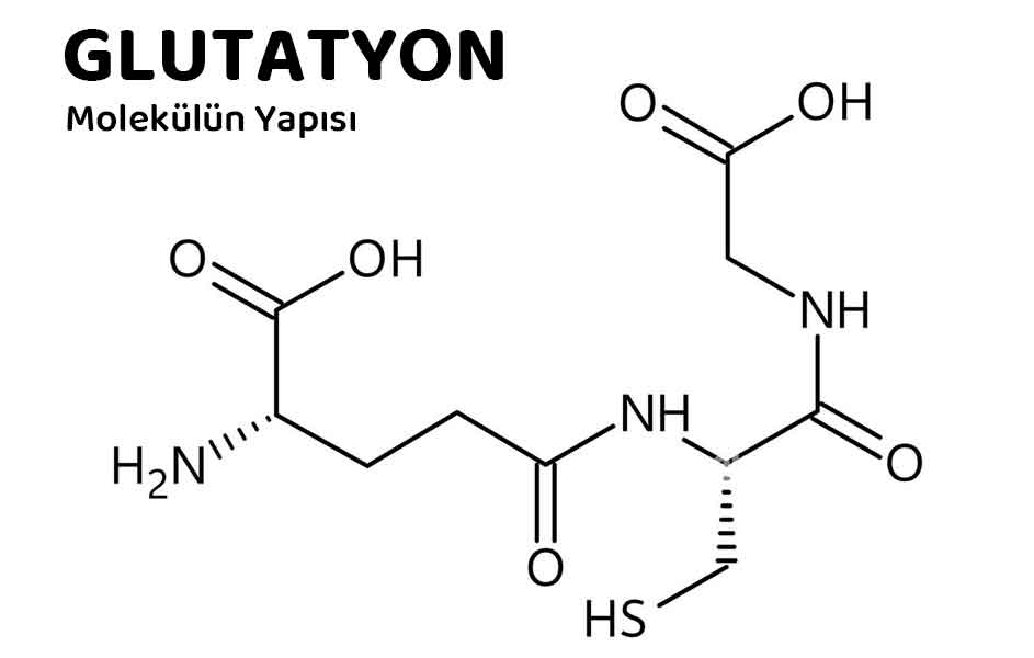 GLUTATYON hakkında bilinmesi gerekenler