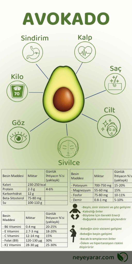 avokado faydaları