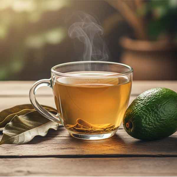avokado çayı