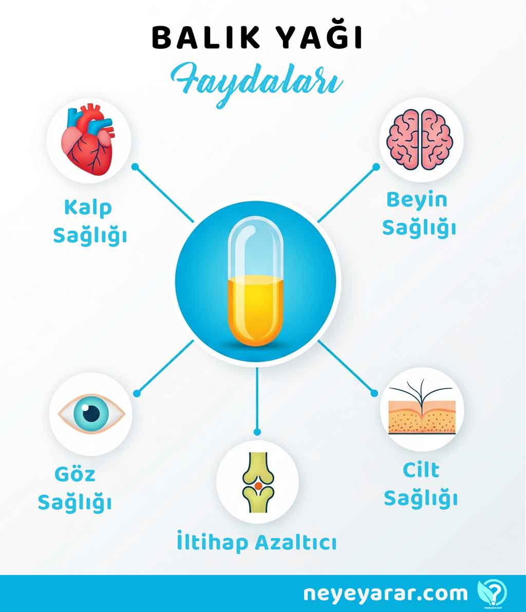 Balık Yağı Faydaları