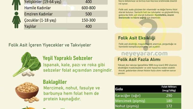 Folik Asit Kaynakları