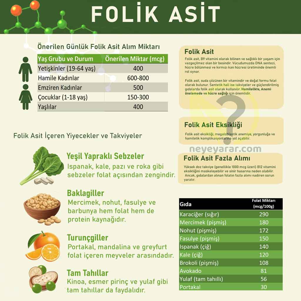 Doğal Folik Asit Kaynakları