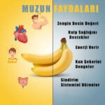 Muz: Faydaları ve Zararları