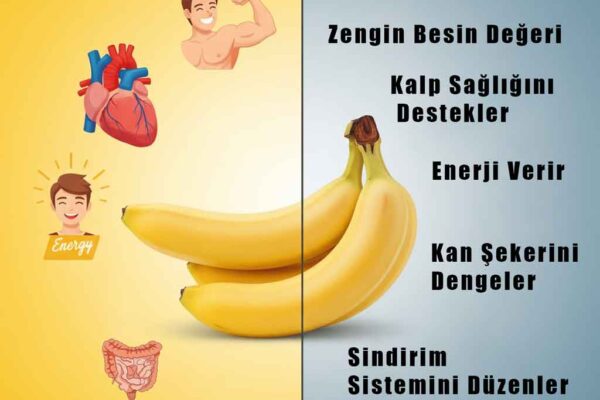 Muzun Faydaları ve Zararları