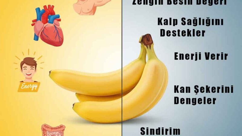 Muz: Faydaları ve Zararları