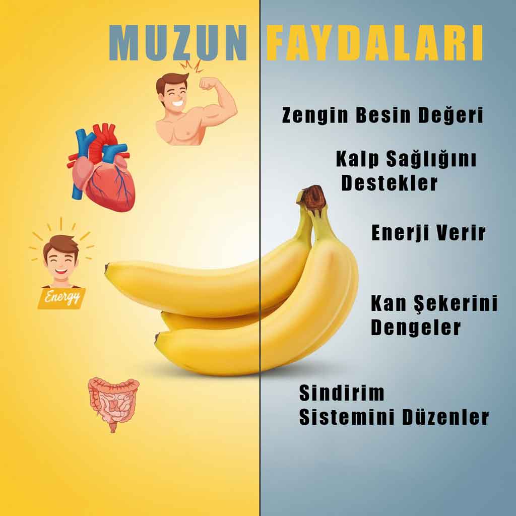 Muzun Faydaları ve Zararları