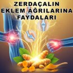 Eklem Ağrılarına Doğal Çözüm Zerdeçal