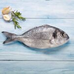 Balığın Faydaları ve Türkiye’deki Balık Türleri