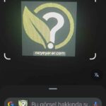 Google Lens: Yapay Zeka Destekli Görsel Arama Teknolojisi ve Kullanım Alanları