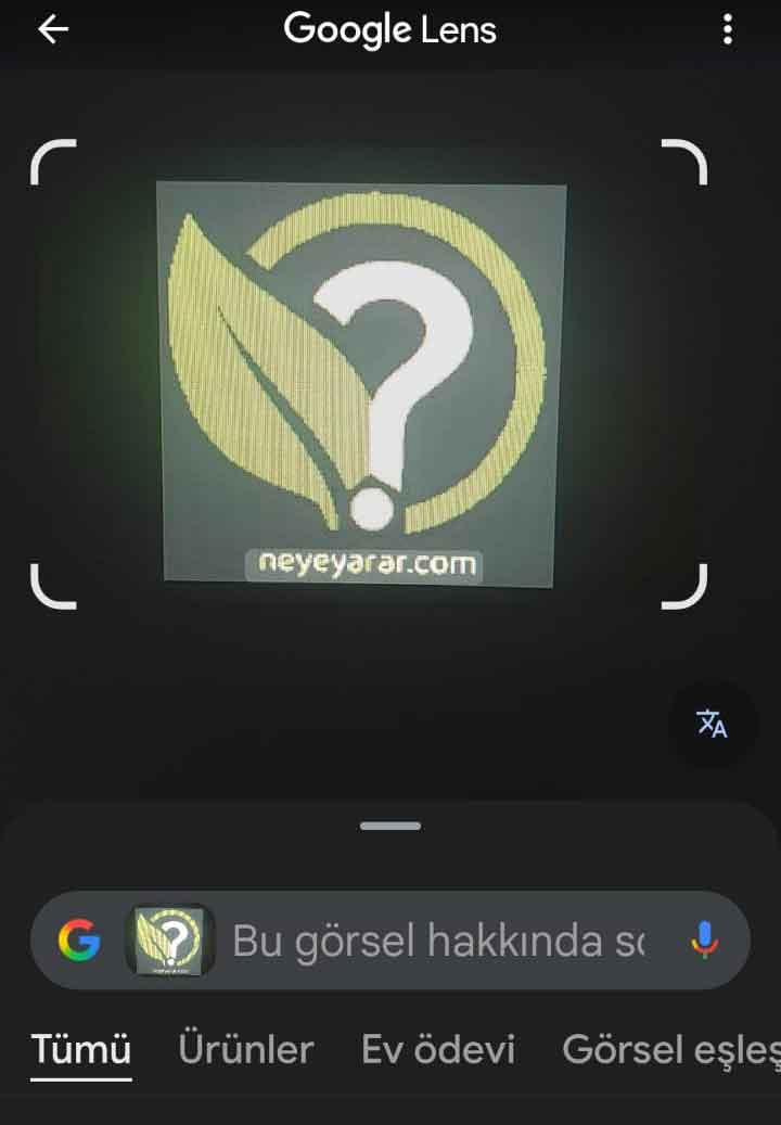 google lens