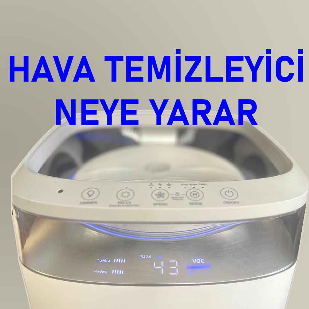 hava temizleyicisi faydaları ve zararları