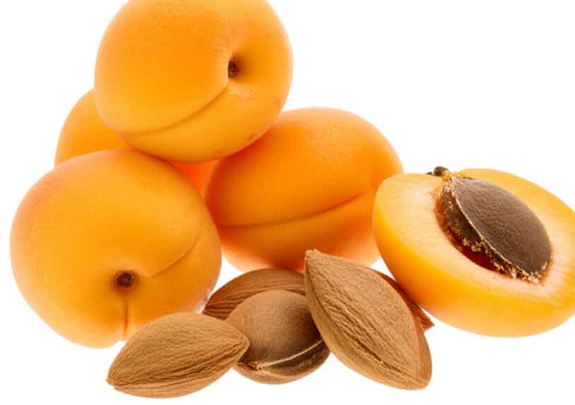 kayısı çekirdeği faydaları